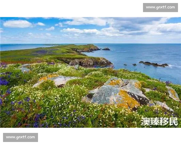 瑞士vs加拿大多维对比从经济金融到自然环境与社会福利的全面解析与差异观察